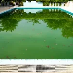 Green Pool