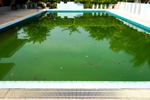 Green Pool